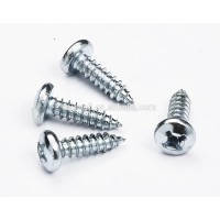 China factory self-tapping screw